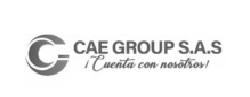 Cae Group